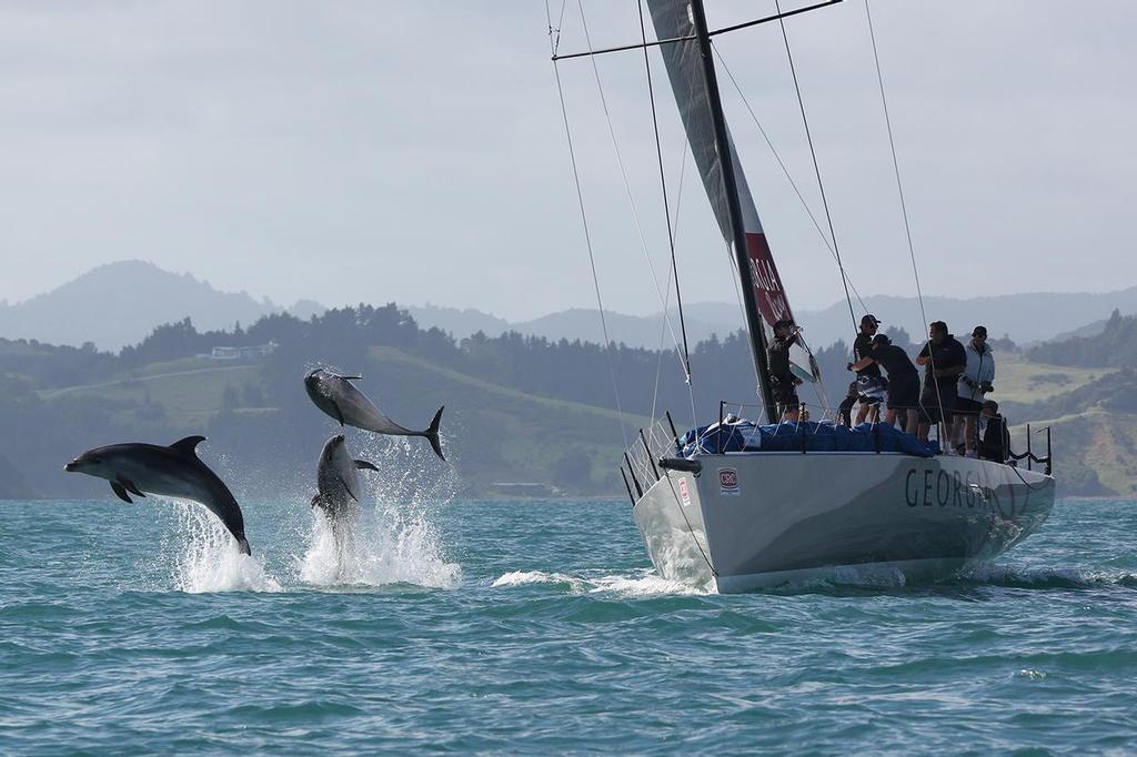 SailWorld New Zealand January 23, 2014 Where else but The Bay?